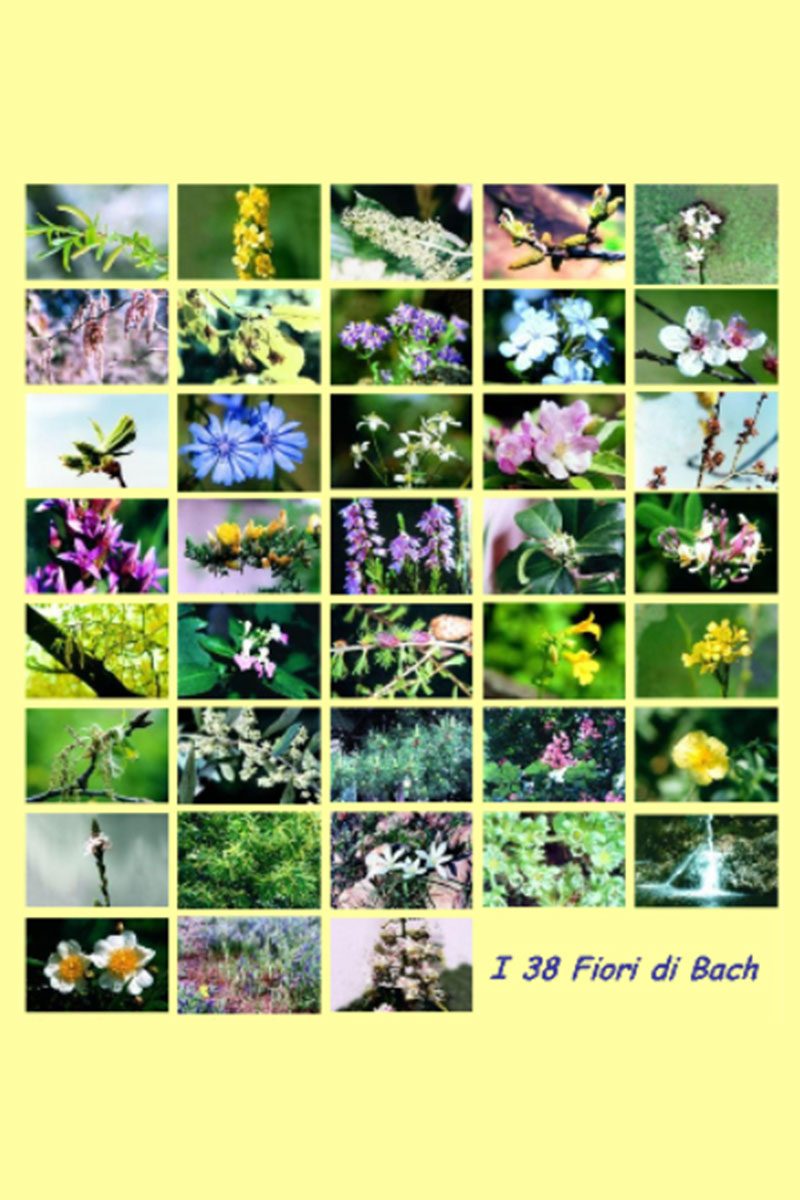 fiori_bach